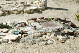 IMG025