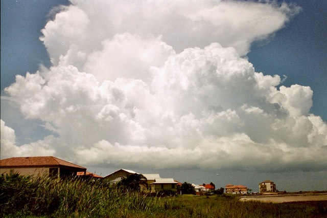 imm014_13A