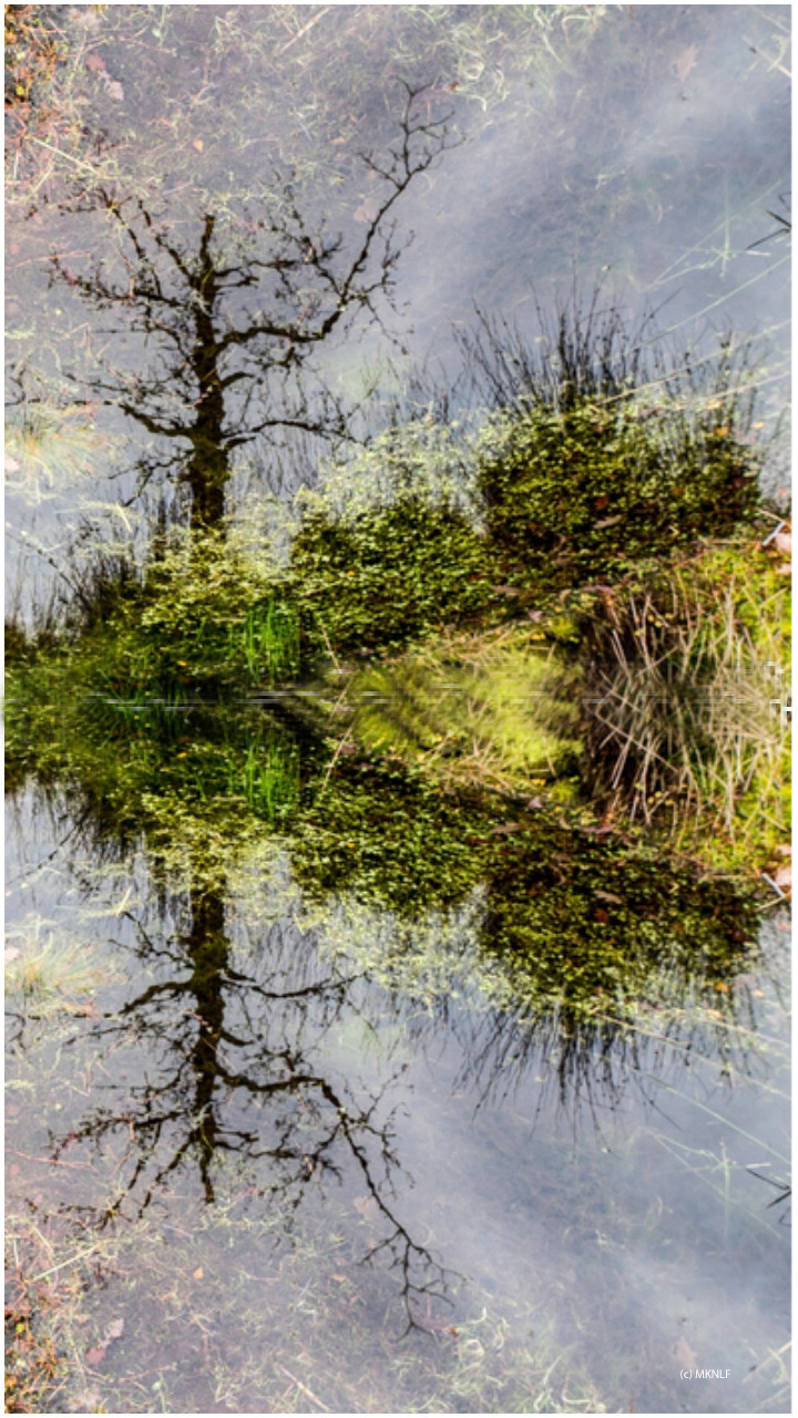 spiegelingen2