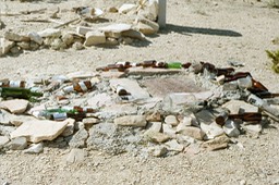 Texas alcohol abuse (1 van 1)