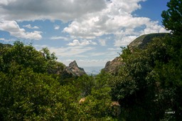 Texas Big Bend (1 van 1)
