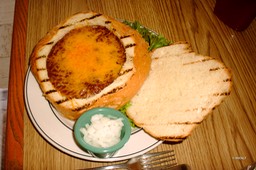Texas diner (1 van 1)